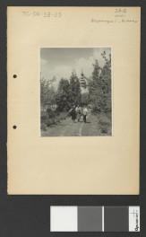 widok upraw w miejscowym ogrodzie przyklasztornym, skan 4