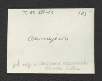 Fragment parku, skan 2