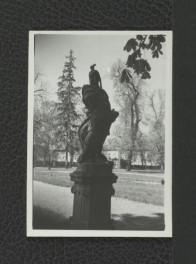 18 fotografii czarno-białych fotografii ukazujących rzeźby figuratywne attycyzujące (m.in. „Antoniusz”, „Artemida”, „Orfeusz”) w północnym alkierzu ogrodowym, skan 3