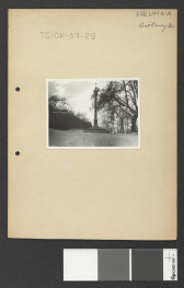 kolumna z wieńczącym ją krzyżem , skan 1