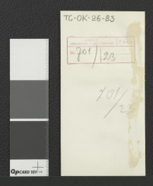 reprodukcja ryciny zamieszczonej w Wernher Friedrich Bernhard, Topografia Śląska, 1744-1768 przedstawiającej miejscowy klasztor z lotu ptaka                                                         , skan 2