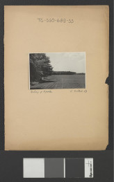 fotografia czarno-biała, przedstawia drogę biegnącą skrajem lasu na krawędzi pól, obsadzoną drzewami (lipy drobnolistne ?). Dopiski odręczne: „Pokój p. Opole”, „G. Ciołek 59”, skan 1