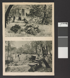 nadbitki karty z Ciołek G., Ogrody polskie, Warszawa 1954, s. 288 przedstawiającej fragment miejscowego parku, skan 1