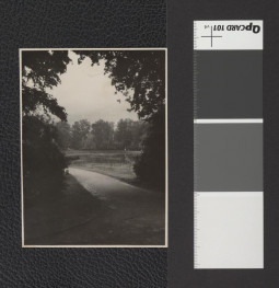 dróżka wzdłuż stawu, skan 3