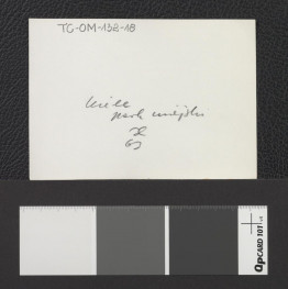 fragment miejscowego parku, skan 2