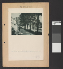 karta z publikacji tematycznej zawierającej reprodukcję fotografii czarno-białej przedstawiającej Park Bednarskiego, skan 1