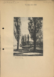 ilustracja związana z hasłem - wyspa - Wörlitz (wycinek z wydawnictwa tematycznego), skan 1