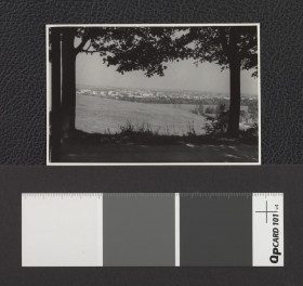 widok Krakowa z wnętrza lasu, skan 1