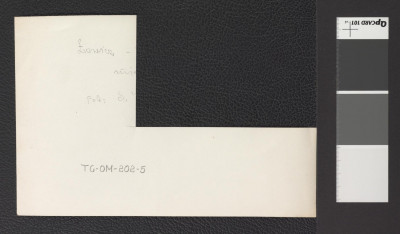 fragment widoku z lotu ptaka na wspomnianą miejscowość prawdopodobnie w początkach XVII wieku (uszkodzona fotografia dwubarwna reprodukcji ryciny z epoki), skan 2