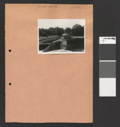 fragmenty kanału w miejscowym parku (fotografie dwubarwne), skan 1
