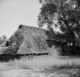 stodoła - elewacja, skan 1