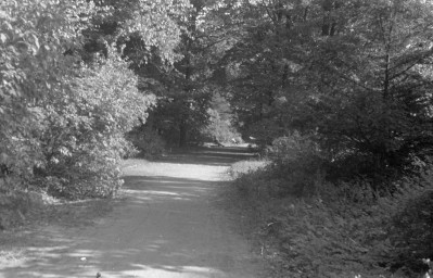 park Szczytnicki - aleja w ogrodzie japońskim - fragment, skan 1