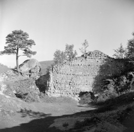ruina Zamku Kamieniec - fragment, skan 1