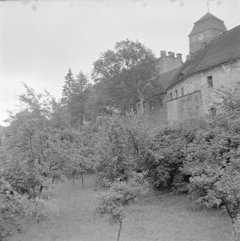 Fragment zespołu poklasztornego w Żaganiu, położony na skarpie i częściowo przesłonięty gęstą zielenią.W górnej części kadru widać długie, dwukondygnacyjne skrzydło klasztorne o tynkowanej elewacji i stromym dachu krytym dachówką. W tle wyrasta masywna, czworoboczna wieża z zegarem i wysokim, czterospadowym dachem – charakterystyczny element zespołu dawnego klasztoru kanoników regularnych (augustianów)., skan 1