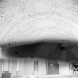 liceum ogólnokształcące Carolinium - sklepienie, skan 1