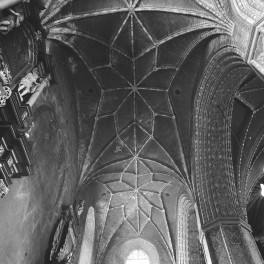 Katedra św. Marcina i Mikołaja - wnętrze: sklepienie gwiaździste nawy południowej., skan 1