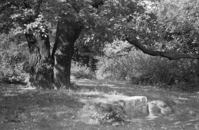 park Szczytnicki - ławeczka kamienna, skan 1