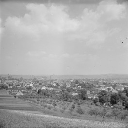 panorama miasta - fragment, skan 1