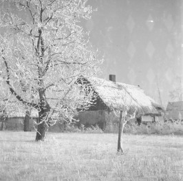 dom mieszkalny - widok zewnętrzny, skan 1