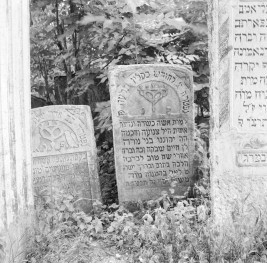 Cmentarz, Kirkut - macewy, skan 1