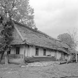 chałupa z podcieniem, dach kryty strzechą, skan 1