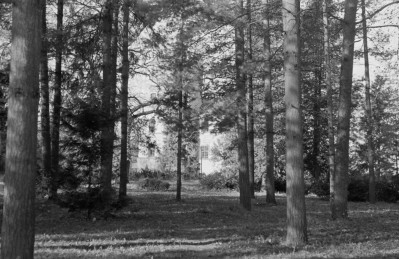 Fragment zadrzewienia przy Zamku, w tle widoczna Baszta Rycerska (Szlachecka), skan 1