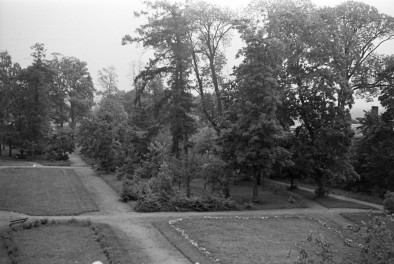 park, skan 1
