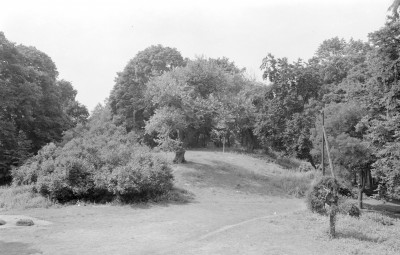 zespół dworski - park z grodziskiem, skan 1