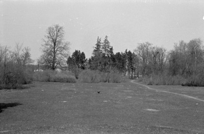pałac - park krajobrazowy - fragment, skan 1