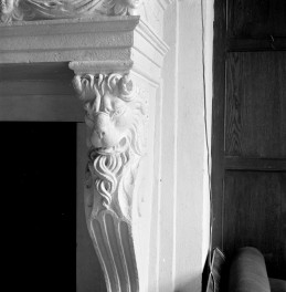 pałac - pierwsze piętro, sala kominkowa, kominek i jego detale, skan 1