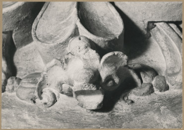 Kaplica Firlejów - fragment dekoracji niszy, skan 1