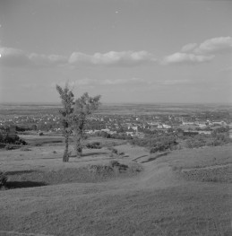 Panorama miasta., skan 1