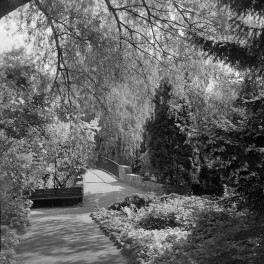 dwór Chopina - park - fragment, skan 1