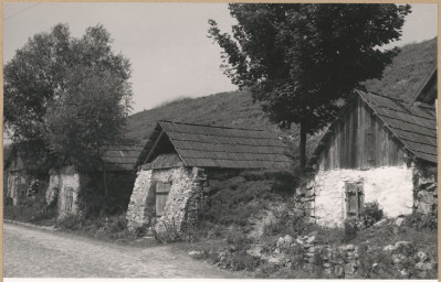 Fragment miasta - widok na piwnice naziemne przy ul. Słupskiej


, skan 1