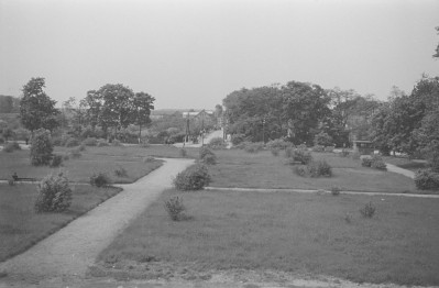 park, skan 1