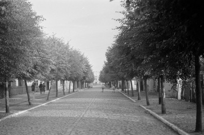 ulica - widok ogólny, skan 1