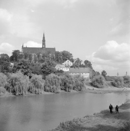 katedra - widok od strony południowej, skan 1