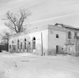 pałac - oranżeria, elewacja, skan 1