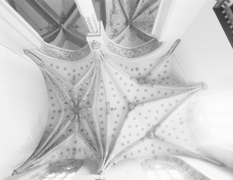 katedra św. Stanisława i św. Wacława - kaplica chrzcielna (łaziebników), sklepienie gwiażdziste, skan 1