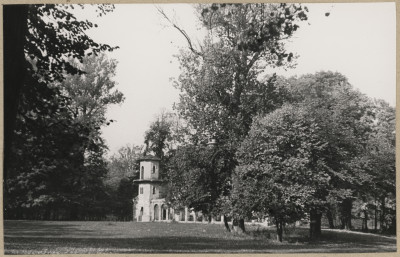 Zespół pałacowo - parkowy, oranżeria, fragment parku, skan 1