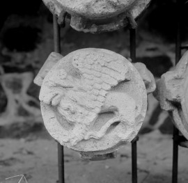 Zamek w Malborku - lapidarium - detal arch. - zwornik sklepienny z symbolem św. Marka, skan 1