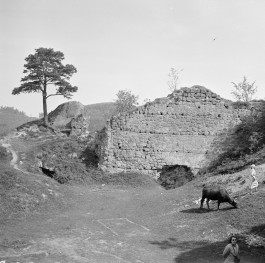 zamek Kamieniec - fragment murów strona wewnętrzna, skan 1