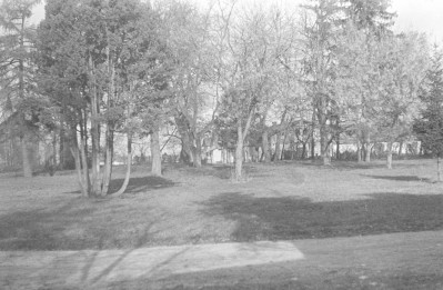 dwór Koźmianów - park krajobrazowy - fragment, skan 1