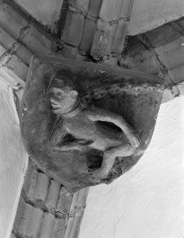 Stary Ratusz - wnętrze: zwornik z 2 połowy XV wieku. "Małpa"., skan 1