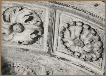Kaplica Firlejów - portal - fragment dekoracji archiwolty, skan 1