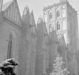 Kościół Wniebowzięcia Najświętszej Maryi Panny - fasada nawy. Wydatne skarpy przy korpusie zwieńczone pinaklami. Blendy w szczycie. Okna w typie maswerk. Po prawej stronie wieża., skan 1