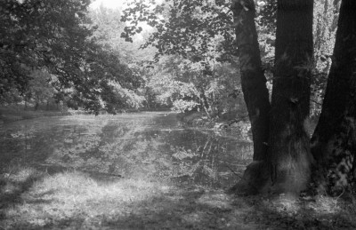 park Szczytnicki - fragment, skan 1