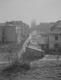 Zabudowa miejska. Wille. Widok ogólny., skan 1