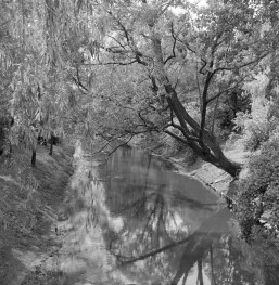 dwór Chopina - park - rzeka Utrata, skan 1