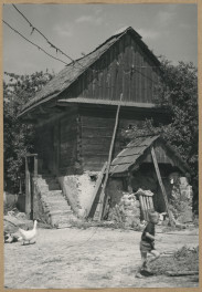 Zagroda wiejska - widok zabudowań, skan 1